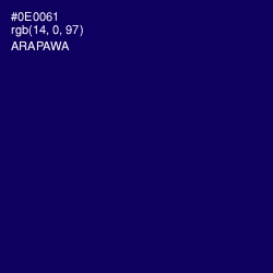 #0E0061 - Arapawa Color Image