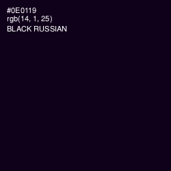 #0E0119 - Black Russian Color Image