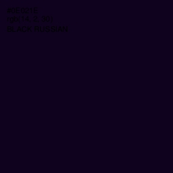 #0E021E - Black Russian Color Image