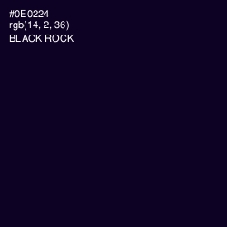 #0E0224 - Black Rock Color Image