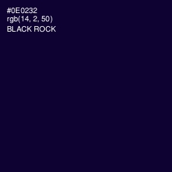 #0E0232 - Black Rock Color Image
