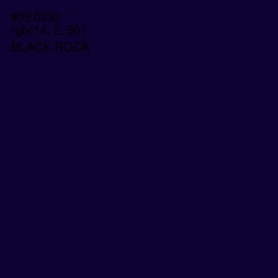 #0E0232 - Black Rock Color Image