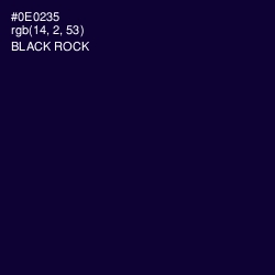#0E0235 - Black Rock Color Image