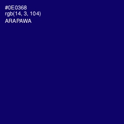 #0E0368 - Arapawa Color Image
