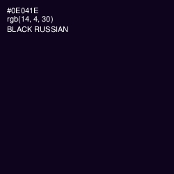 #0E041E - Black Russian Color Image