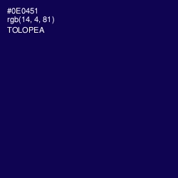 #0E0451 - Tolopea Color Image