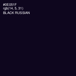 #0E051F - Black Russian Color Image