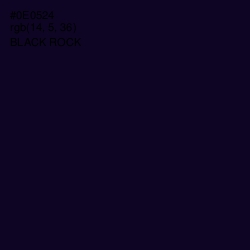 #0E0524 - Black Rock Color Image