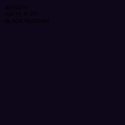 #0E0619 - Black Russian Color Image