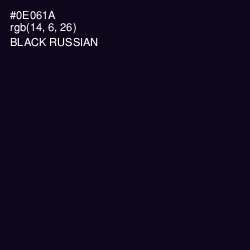#0E061A - Black Russian Color Image
