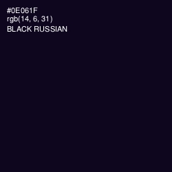 #0E061F - Black Russian Color Image