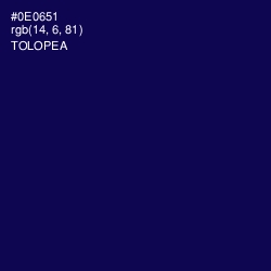 #0E0651 - Tolopea Color Image