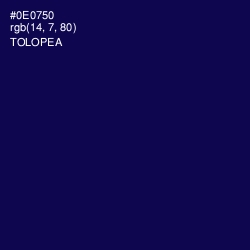 #0E0750 - Tolopea Color Image