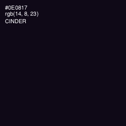 #0E0817 - Cinder Color Image