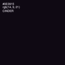 #0E0915 - Cinder Color Image