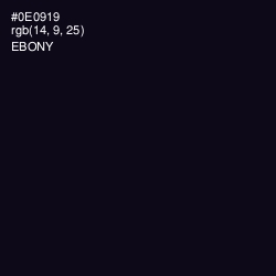 #0E0919 - Ebony Color Image