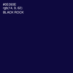 #0E093E - Black Rock Color Image