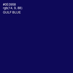 #0E0958 - Gulf Blue Color Image