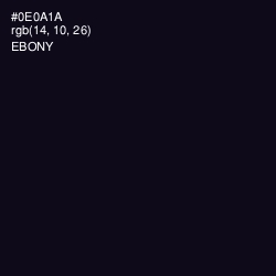 #0E0A1A - Ebony Color Image