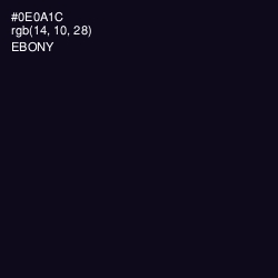 #0E0A1C - Ebony Color Image