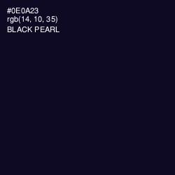 #0E0A23 - Black Pearl Color Image