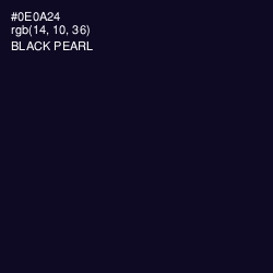 #0E0A24 - Black Pearl Color Image