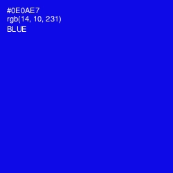#0E0AE7 - Blue Color Image