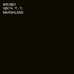 #0E0B01 - Marshland Color Image