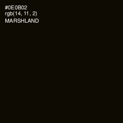 #0E0B02 - Marshland Color Image