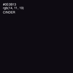 #0E0B13 - Cinder Color Image