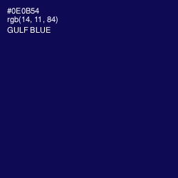 #0E0B54 - Gulf Blue Color Image