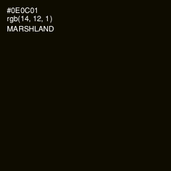 #0E0C01 - Marshland Color Image