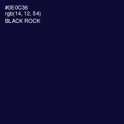 #0E0C36 - Black Rock Color Image