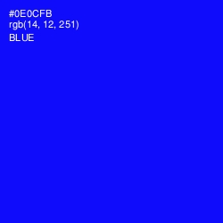 #0E0CFB - Blue Color Image