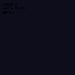 #0E0D1C - Ebony Color Image