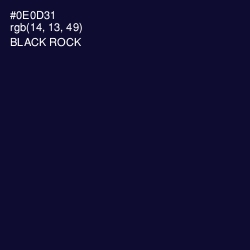 #0E0D31 - Black Rock Color Image