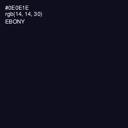 #0E0E1E - Ebony Color Image