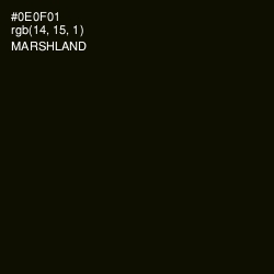 #0E0F01 - Marshland Color Image