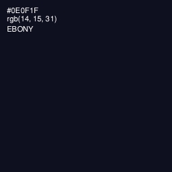 #0E0F1F - Ebony Color Image