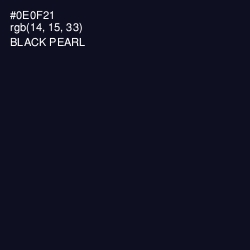 #0E0F21 - Black Pearl Color Image