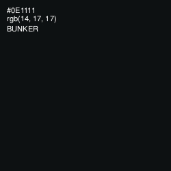 #0E1111 - Bunker Color Image