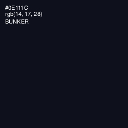 #0E111C - Bunker Color Image