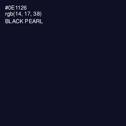 #0E1126 - Black Pearl Color Image