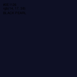 #0E1126 - Black Pearl Color Image