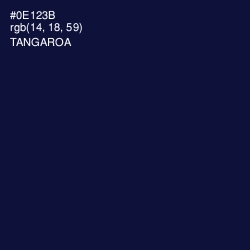 #0E123B - Tangaroa Color Image