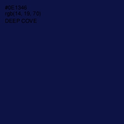 #0E1346 - Deep Cove Color Image