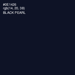#0E1426 - Black Pearl Color Image