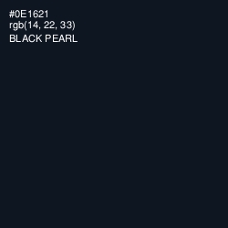 #0E1621 - Black Pearl Color Image
