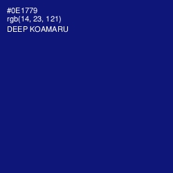 #0E1779 - Deep Koamaru Color Image