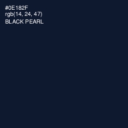 #0E182F - Black Pearl Color Image